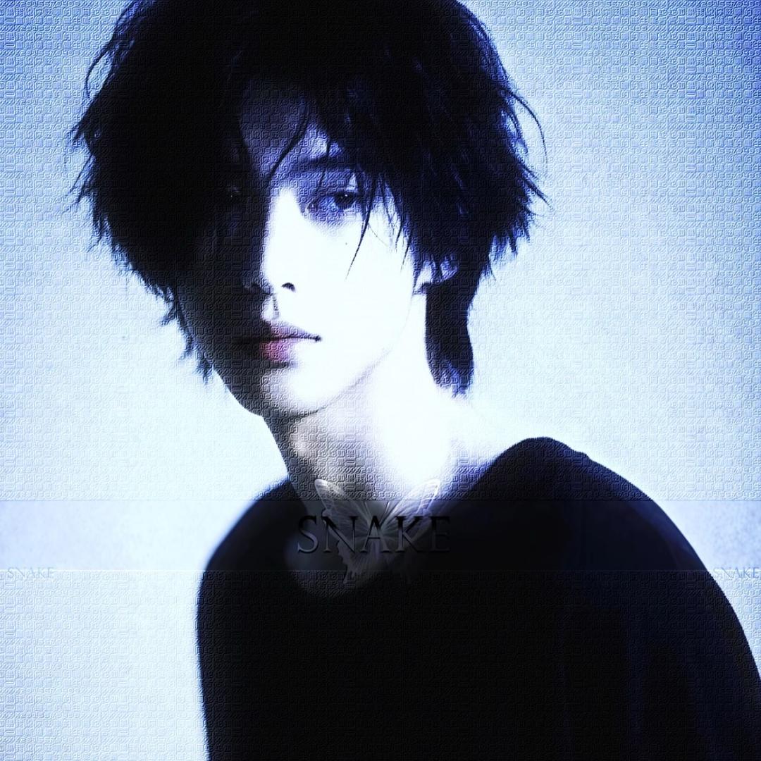 ㅤ ㅤ卡卡大王