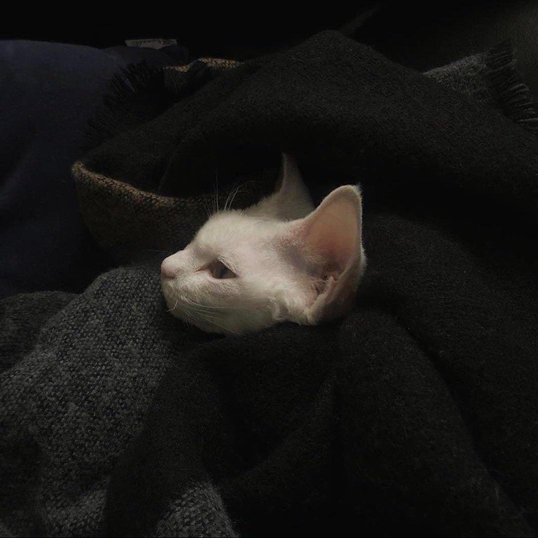 板板