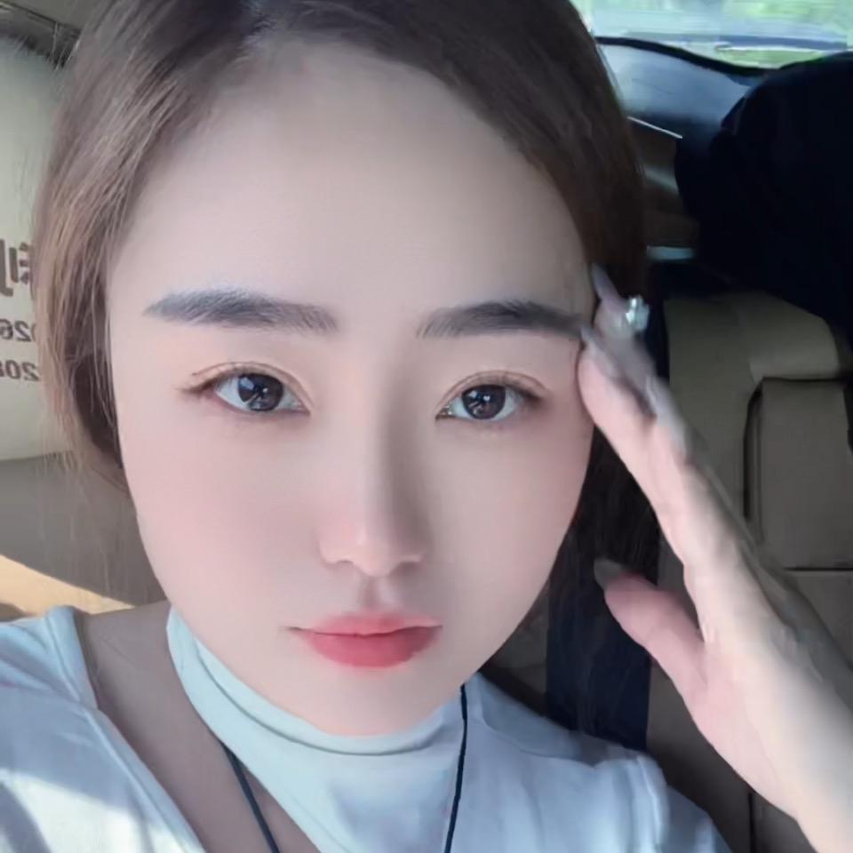 河南傻燕
