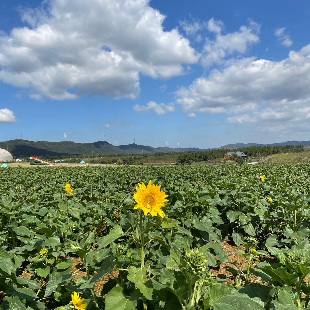 海那边山里人🌈