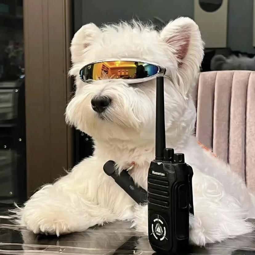 忆记🖱️🖱️