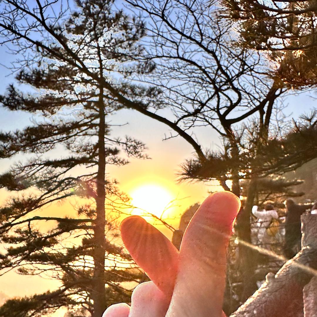 认识一下，十五🤟