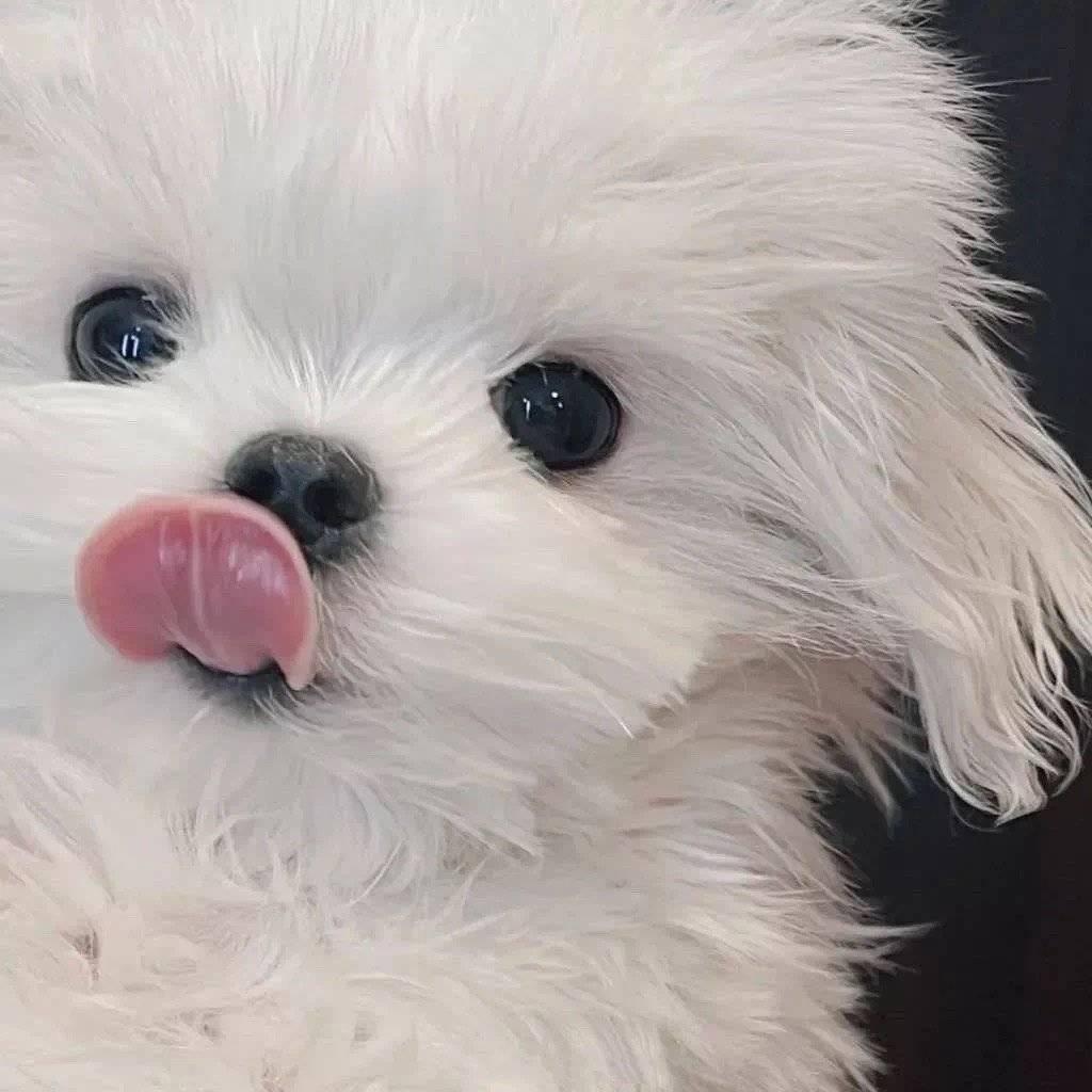 Nam