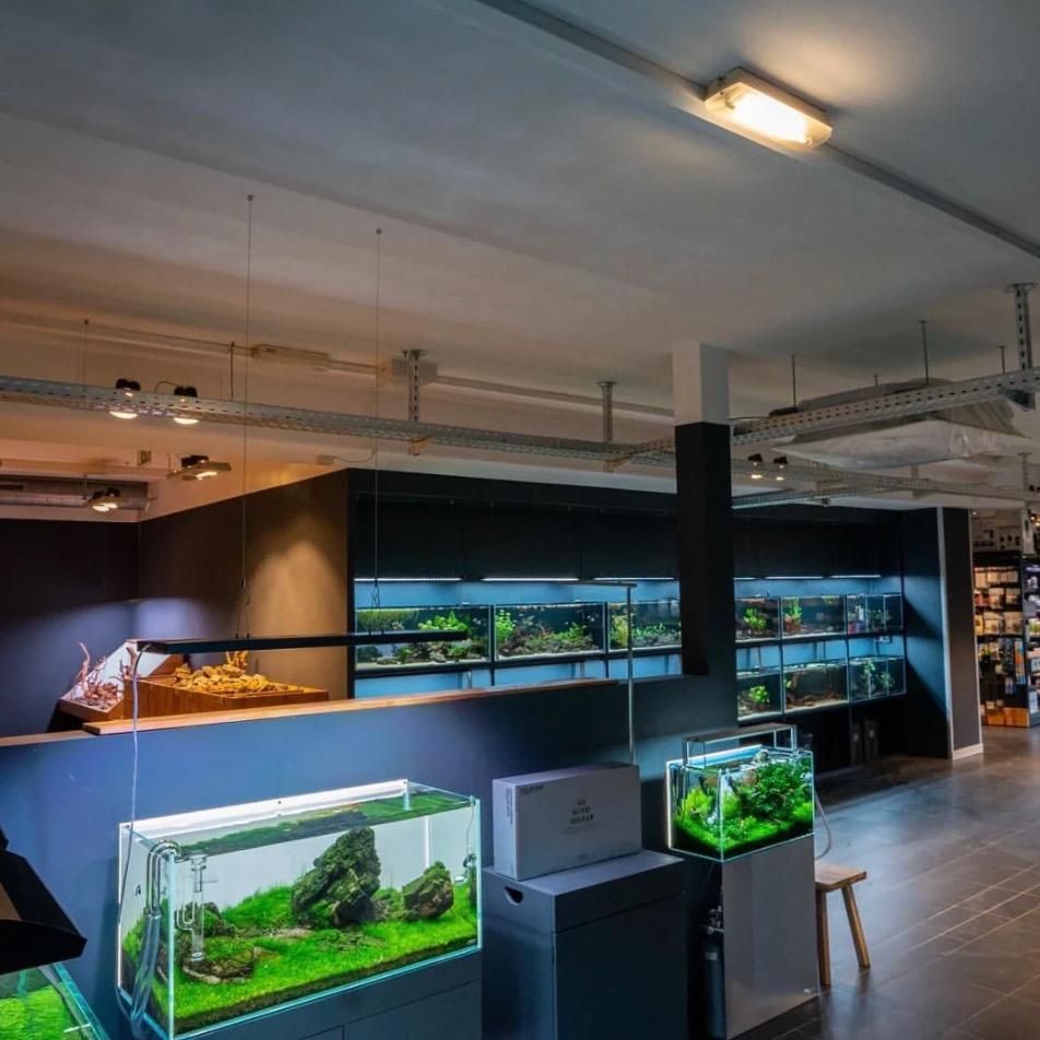 水草便利店