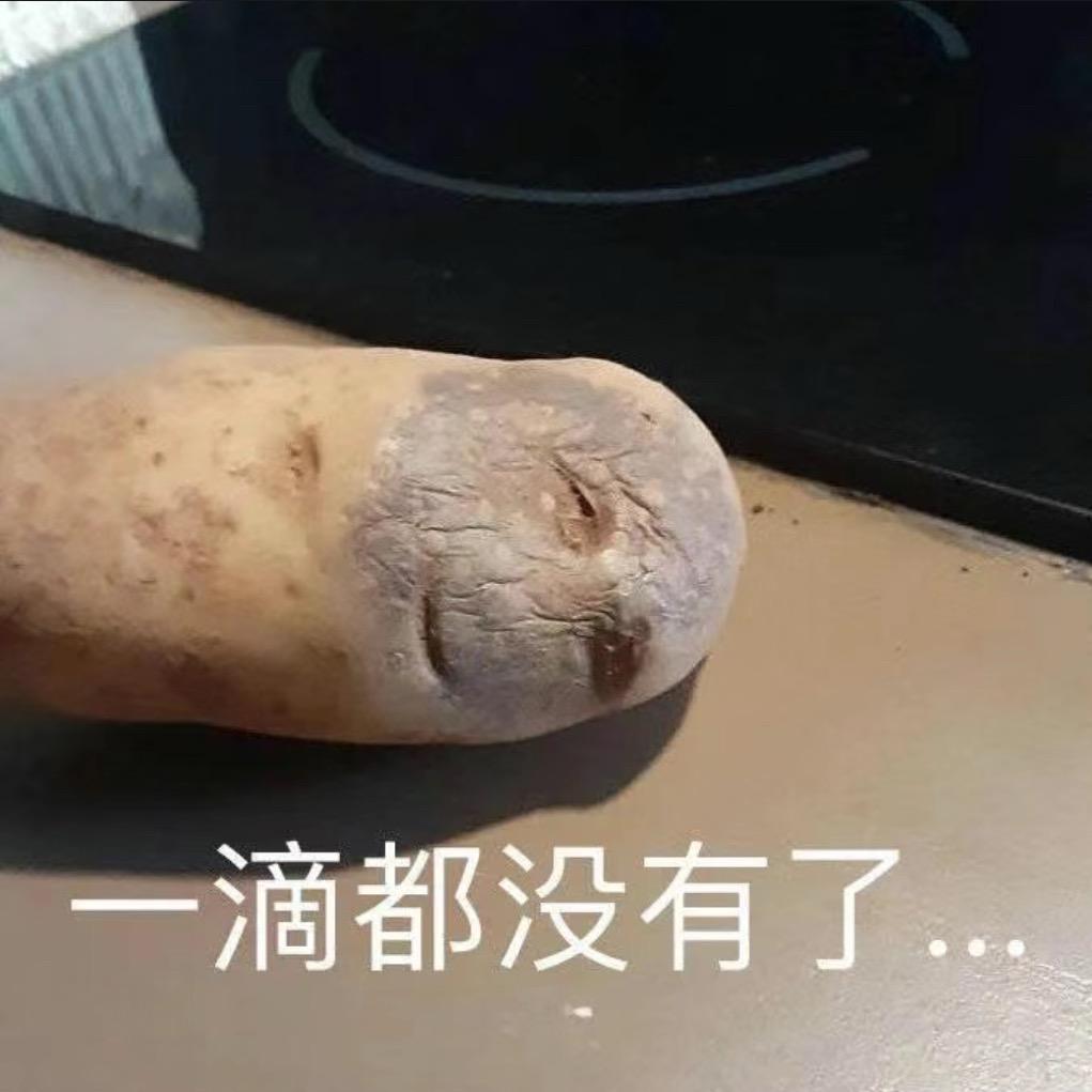 对对碰狗都不做