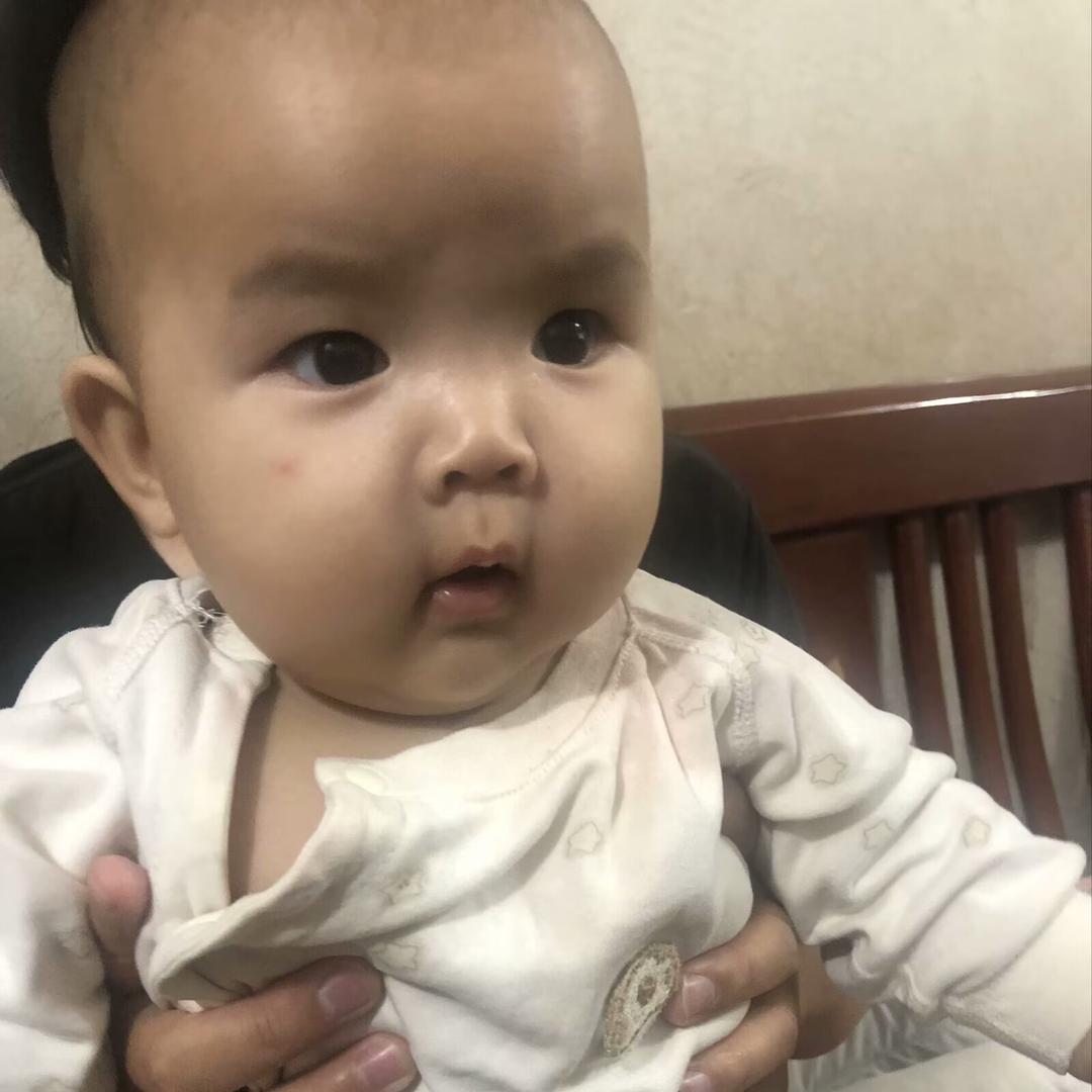 招财猪🐷