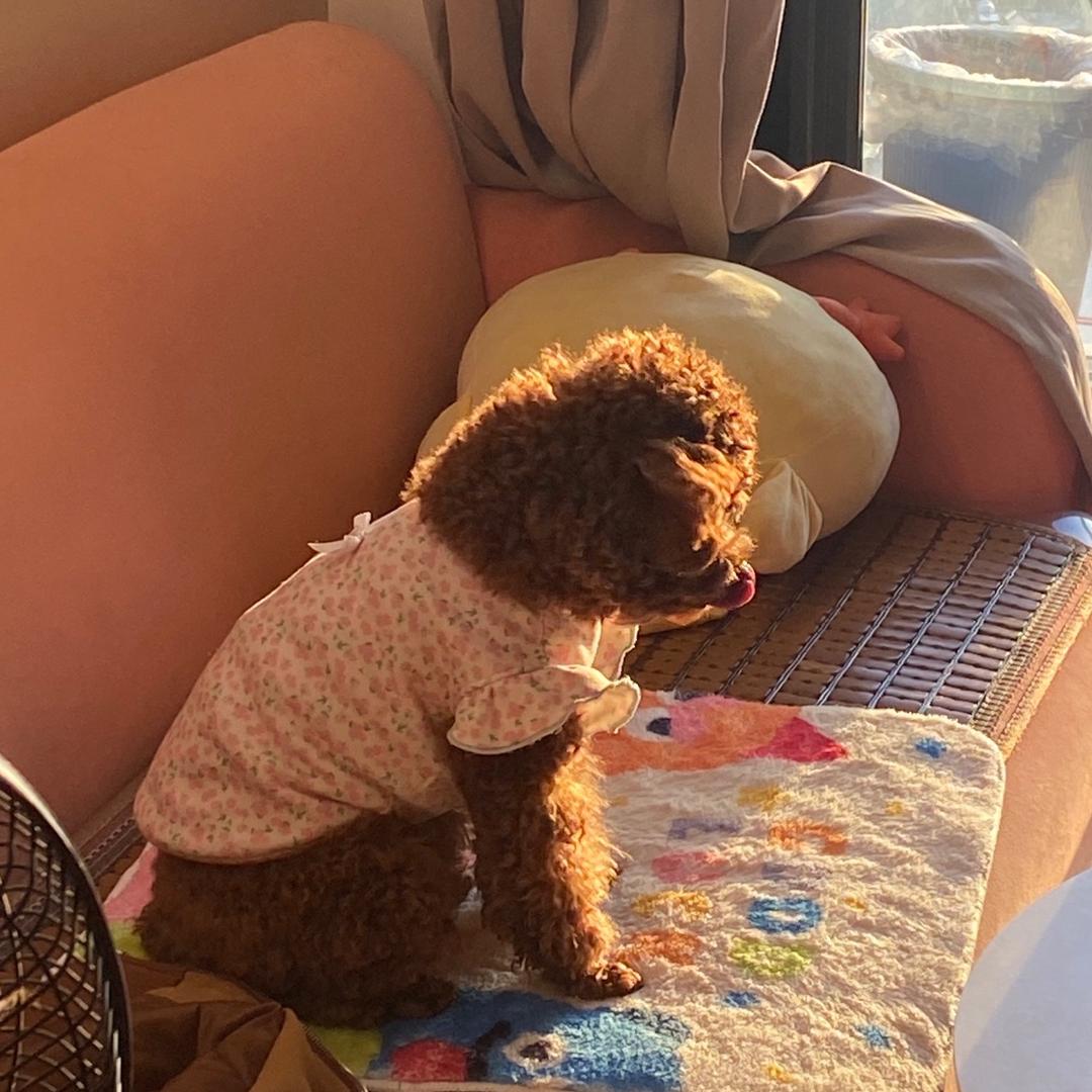 NuNuJi（涨粉中）