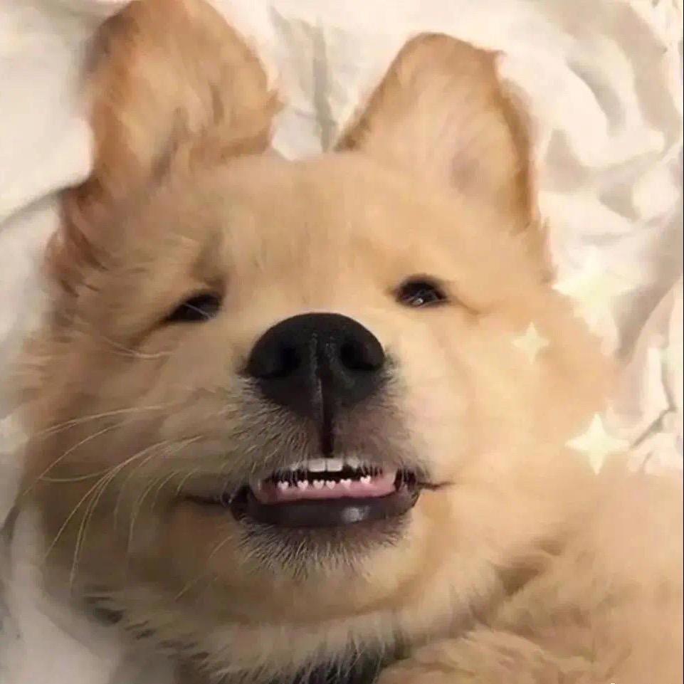 鼎鼎