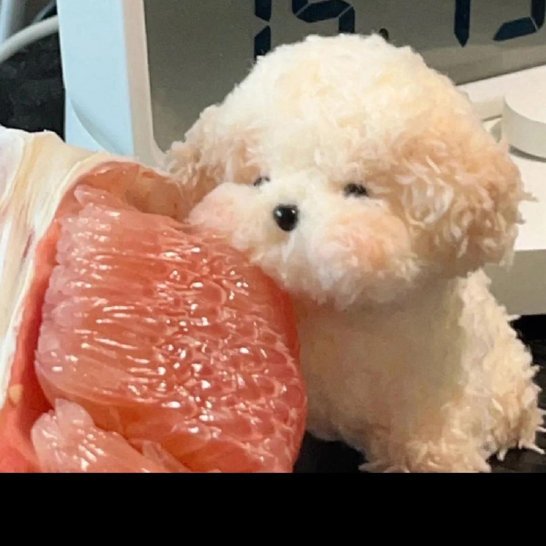 🧊冰镇柚子汁🍊