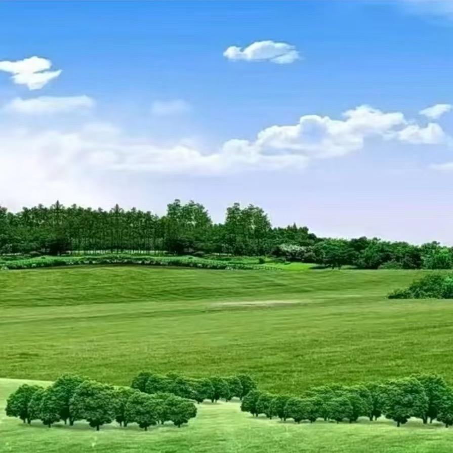 李游