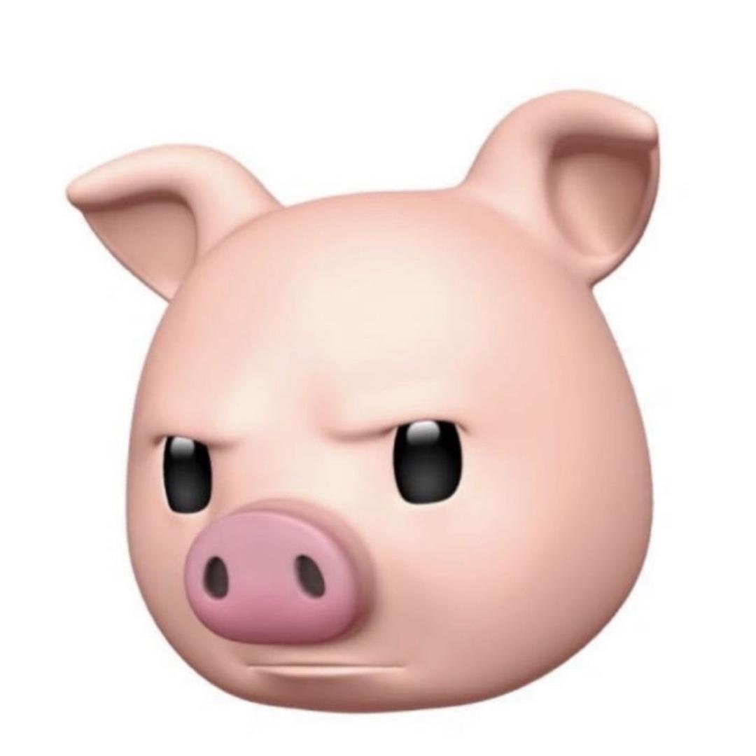 小猪的潮鞋日记