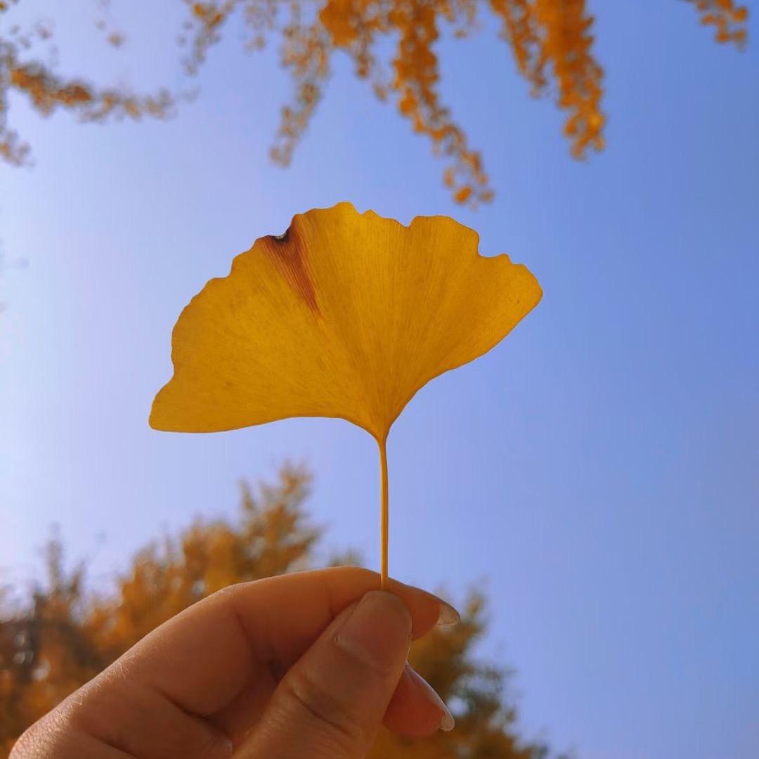 箫箫₍˄·͈༝·͈˄*₎◞ ̑̑