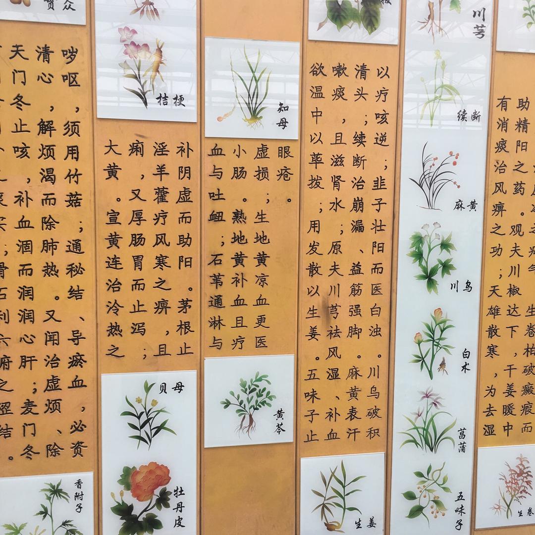 心未眠