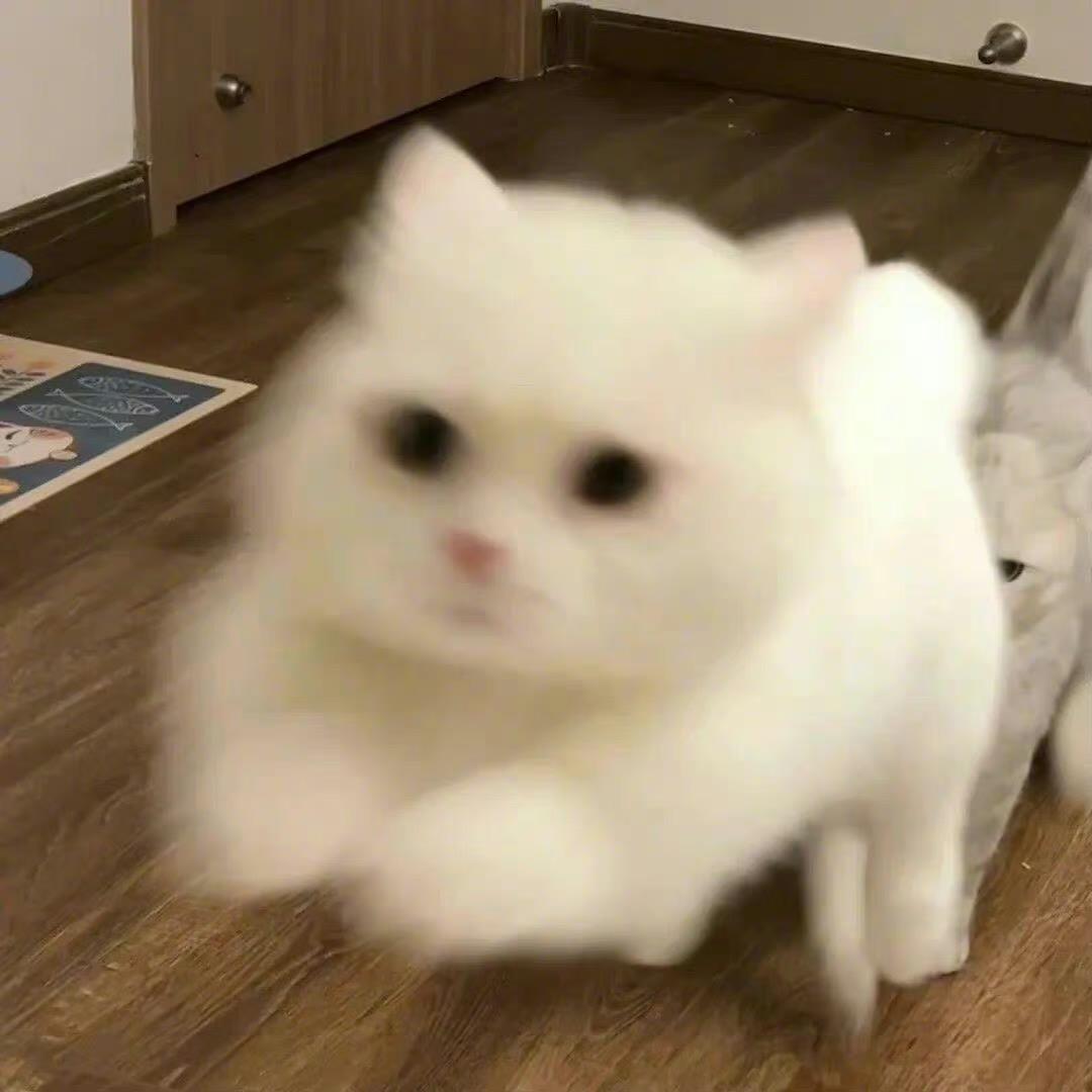 路路