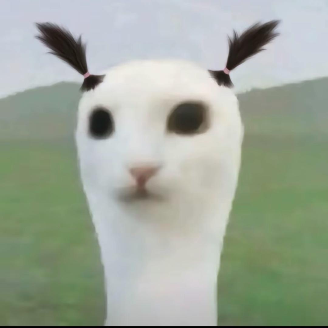 倔强的农民工67