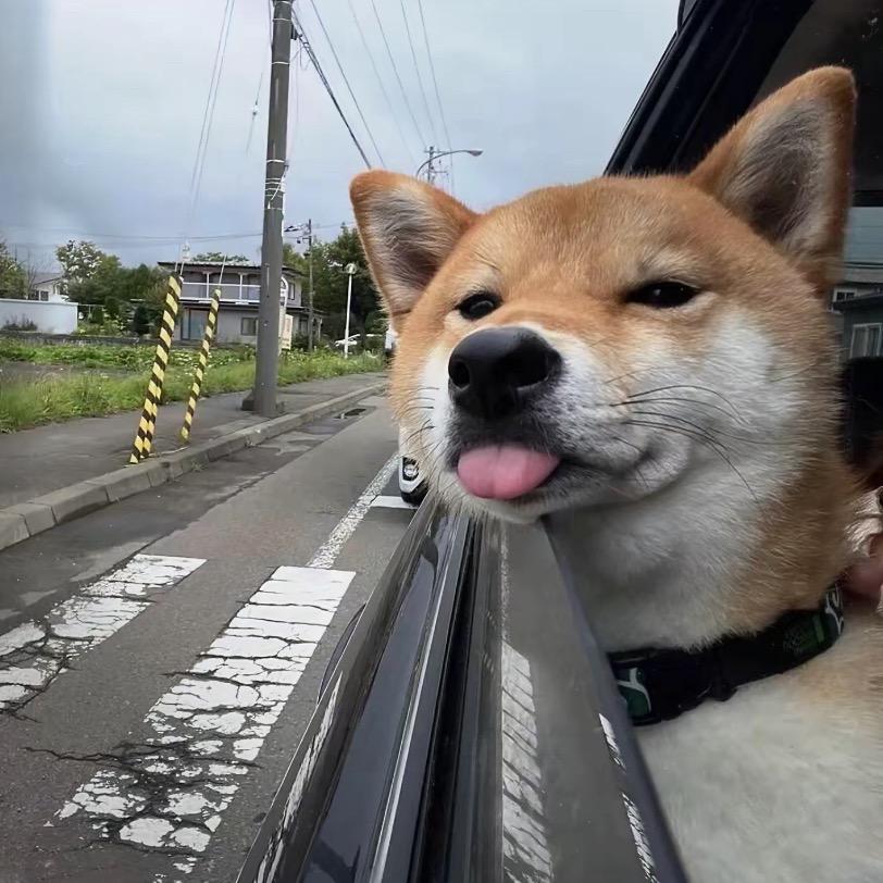 10号特工