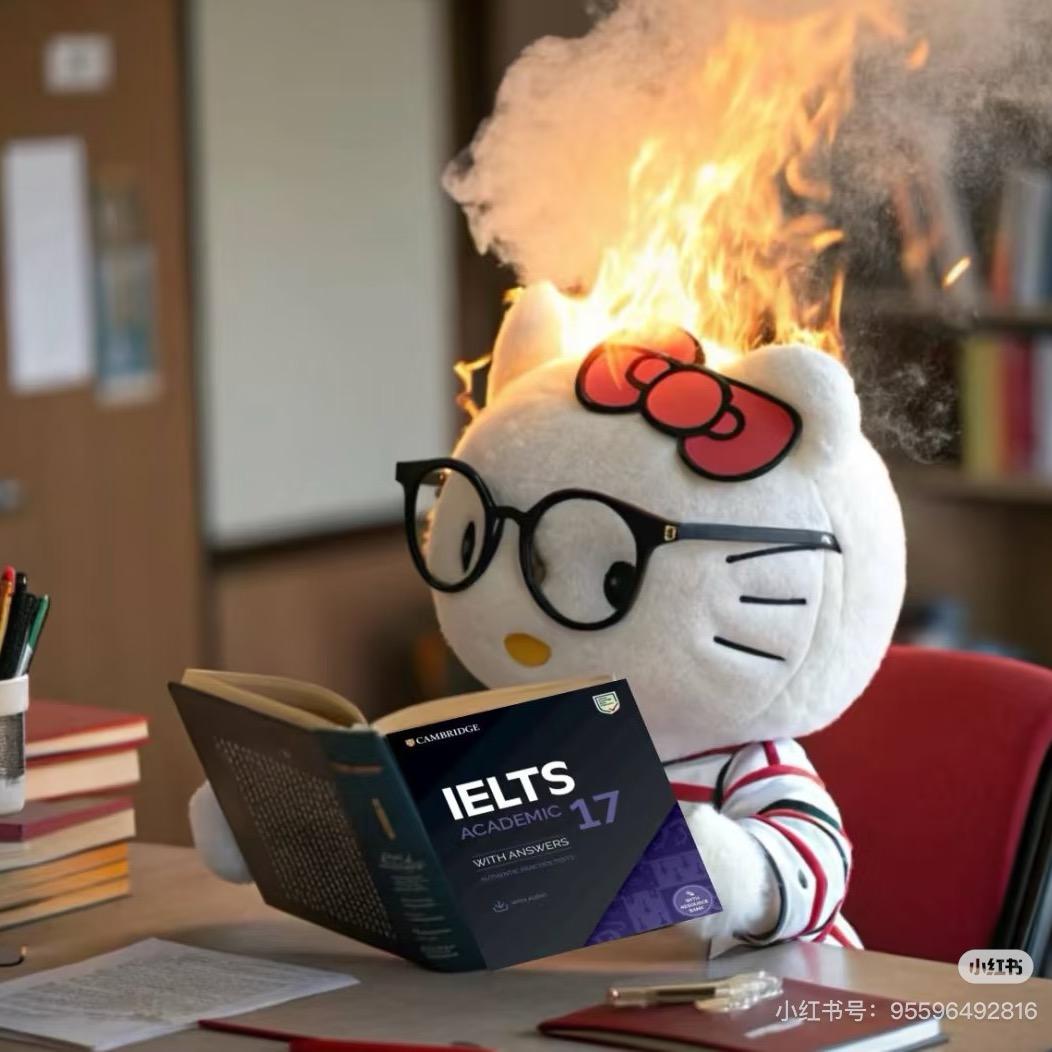 纯学战士