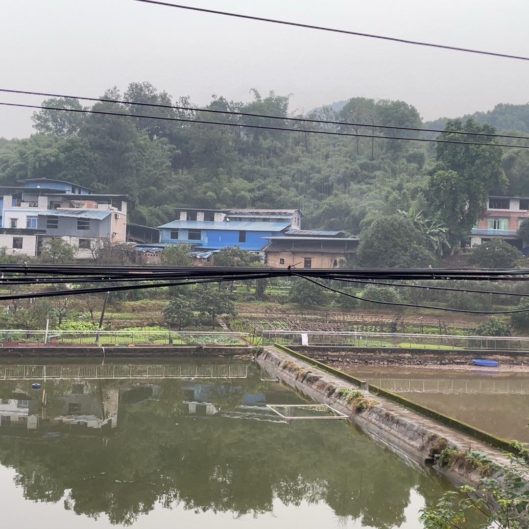 收山货的大学生