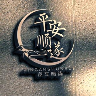 平安顺遂汽车陪练