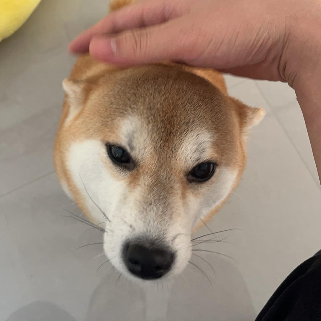 言园优选店