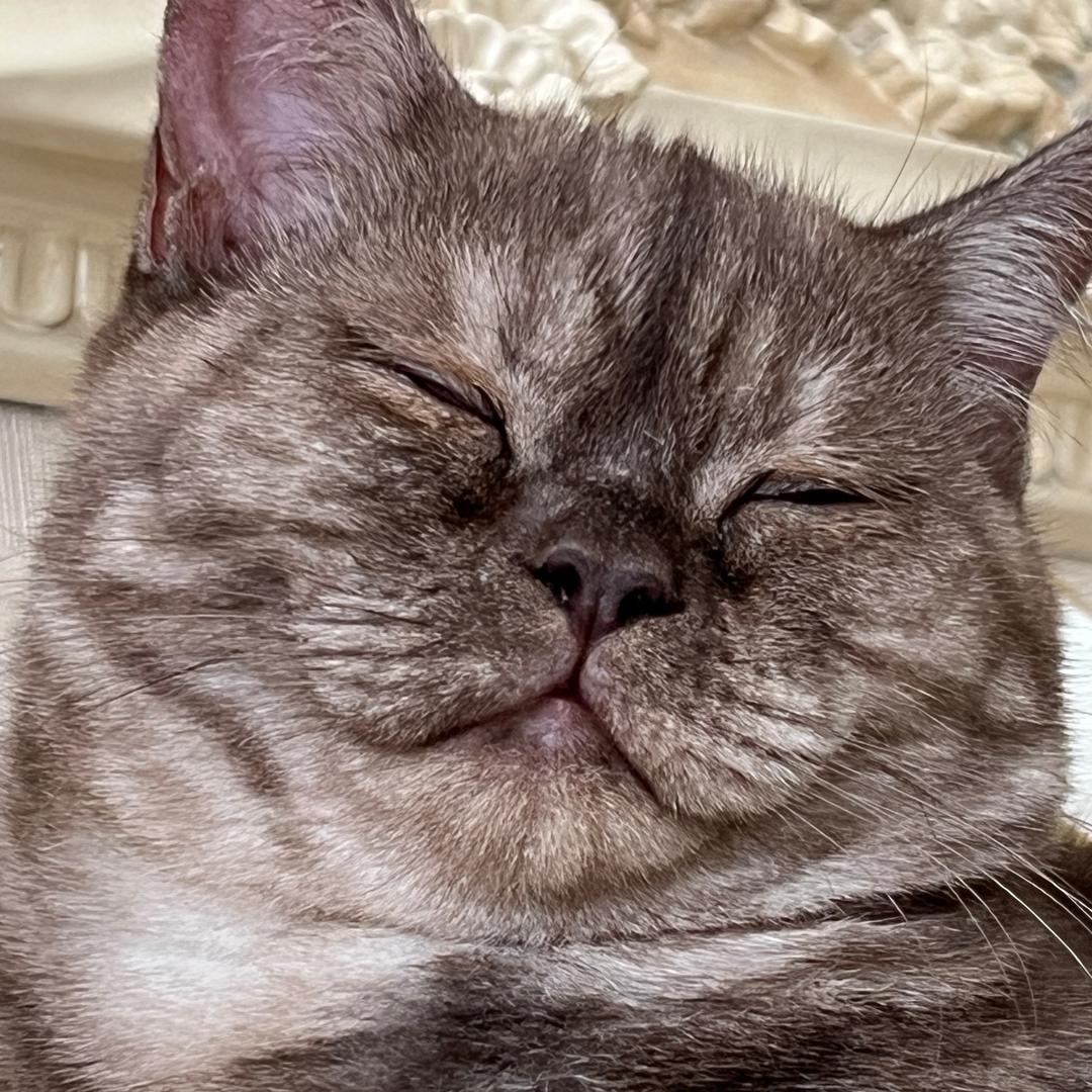 我都4…我都29了