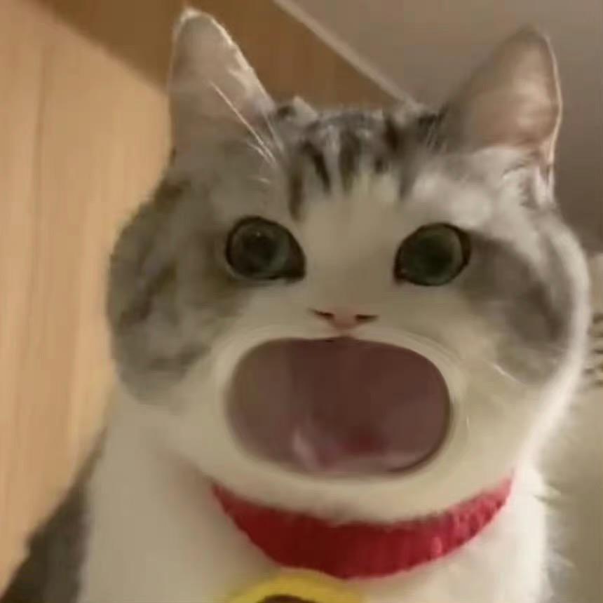 无敌的无敌的小可爱