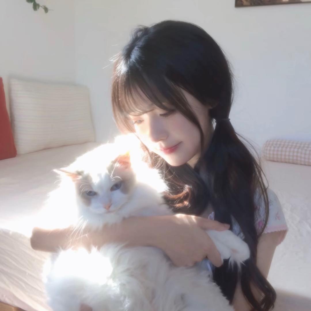不会脸红.