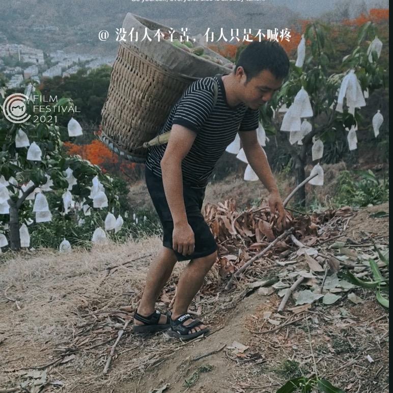攀西果源