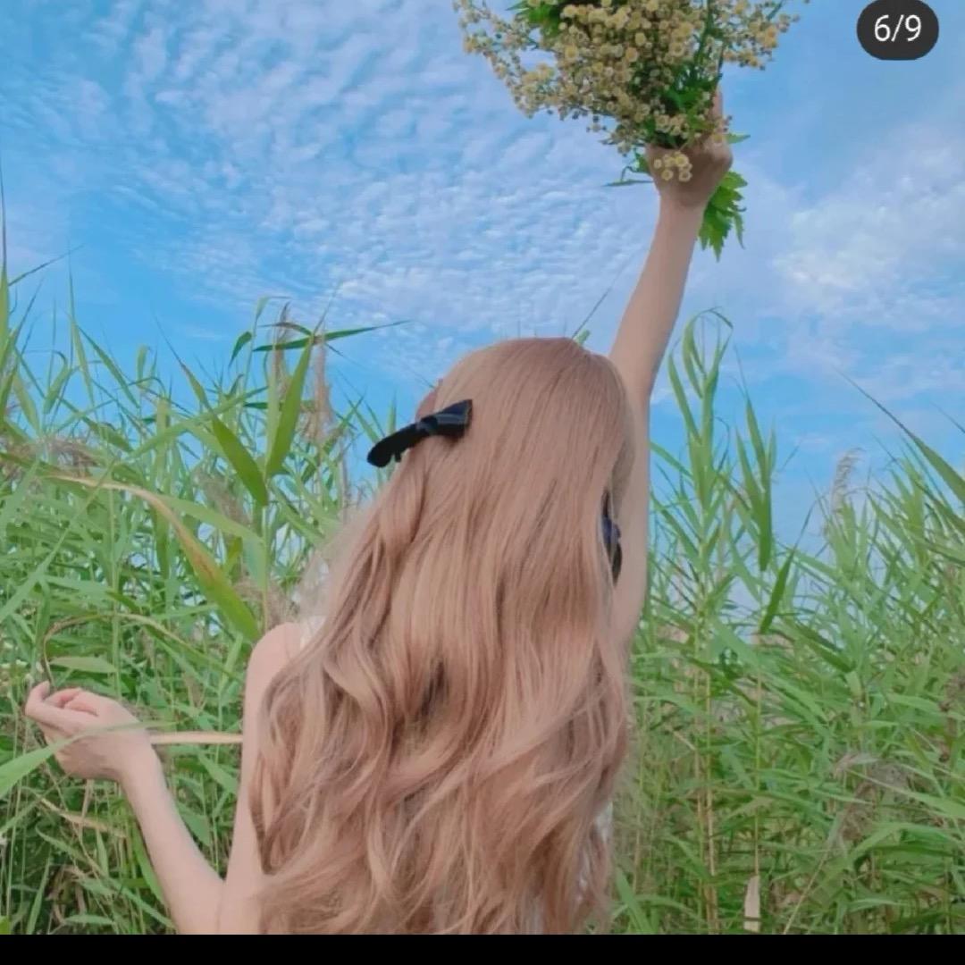夜玫瑰🌹趣物分享