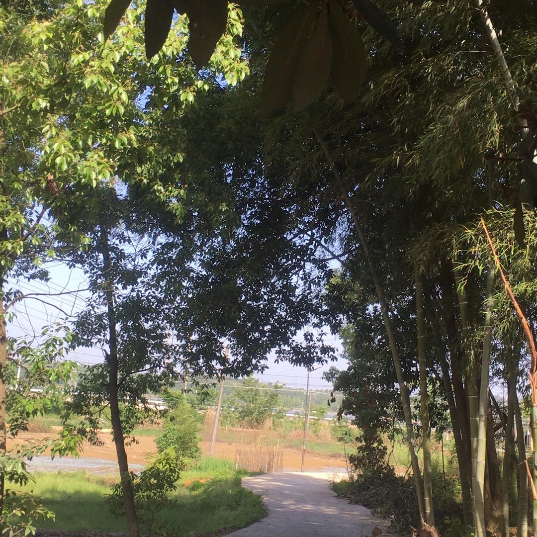 易心一艺🐯🐮