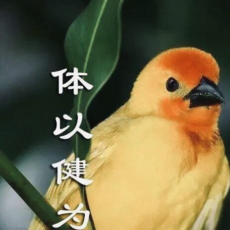 幸福一家我幸福一家感谢粉絲们的支持和给我