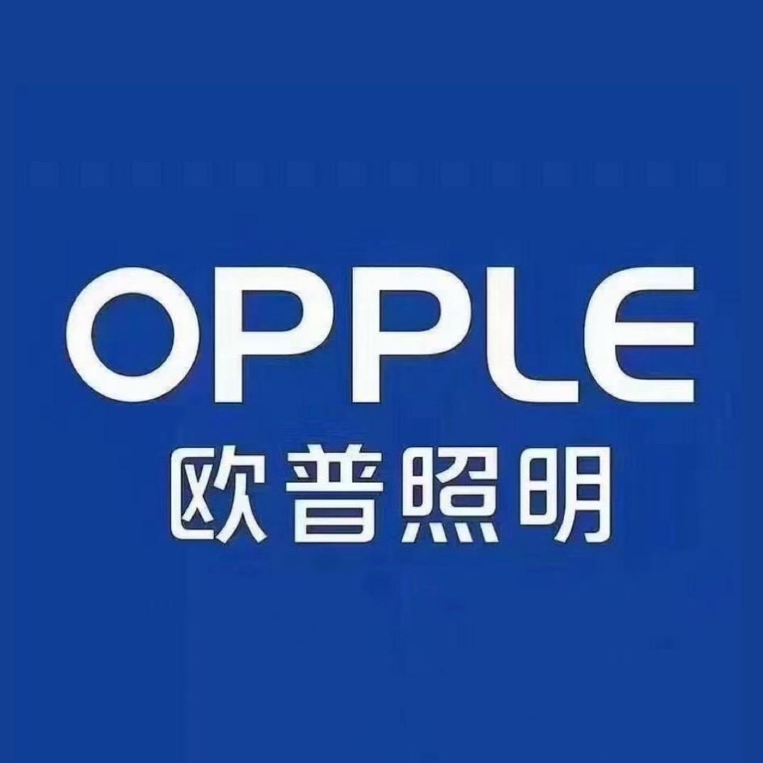 欧普照明旗舰店（海安总代理）