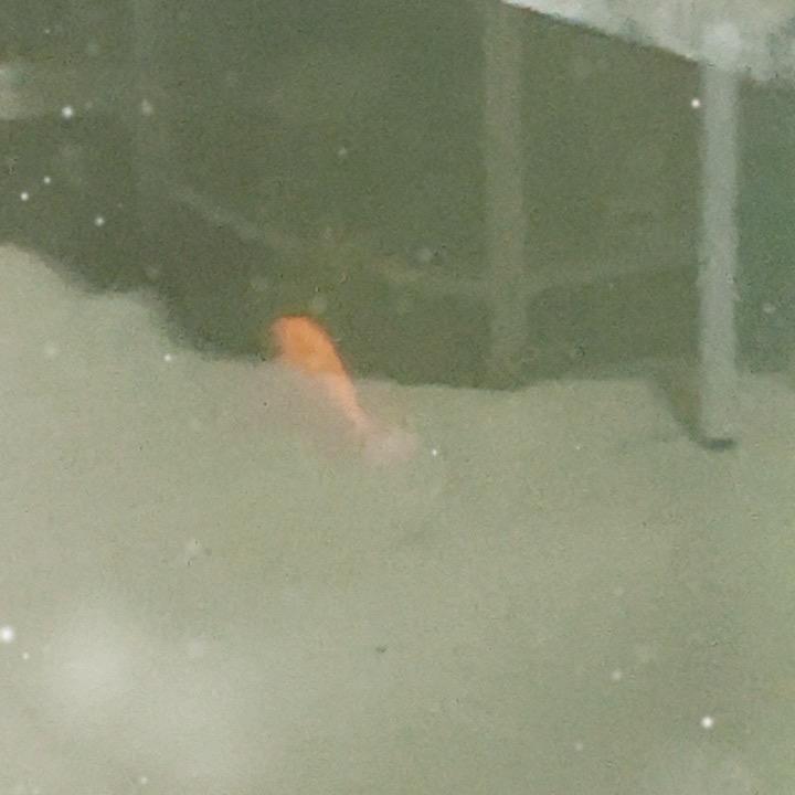 请你理智一点