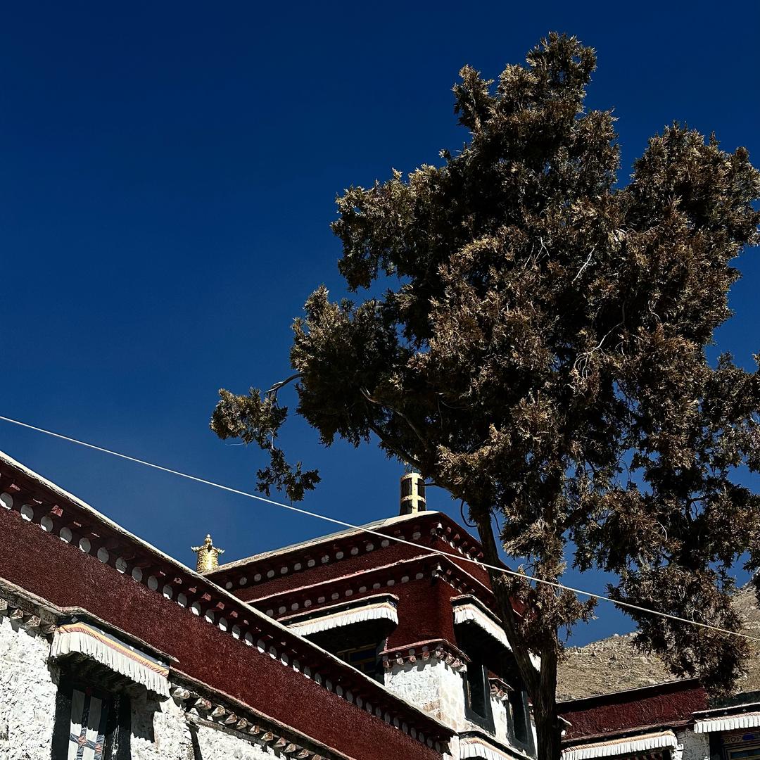 𝘼𝙧_𝙋𝙚𝙚𝙚𝙞𝙞