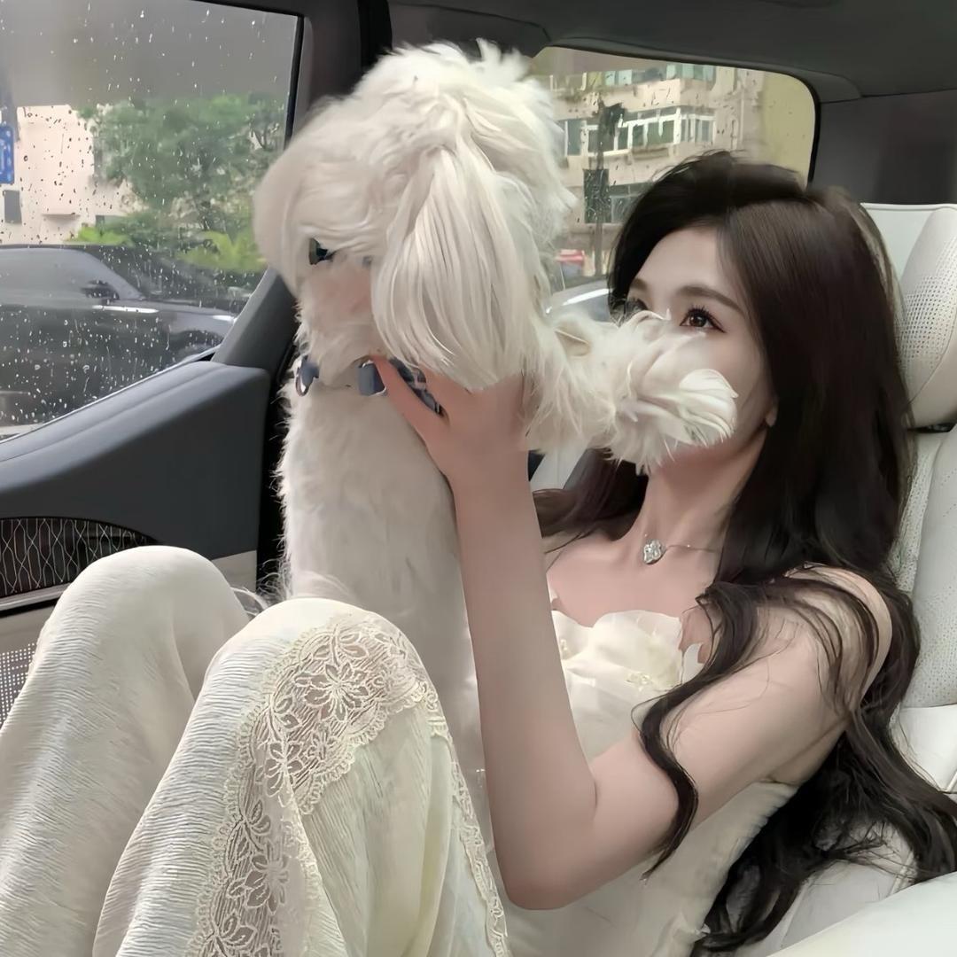 禧.