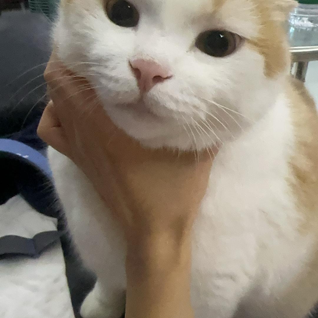 湛江小梁哥海鲜干货