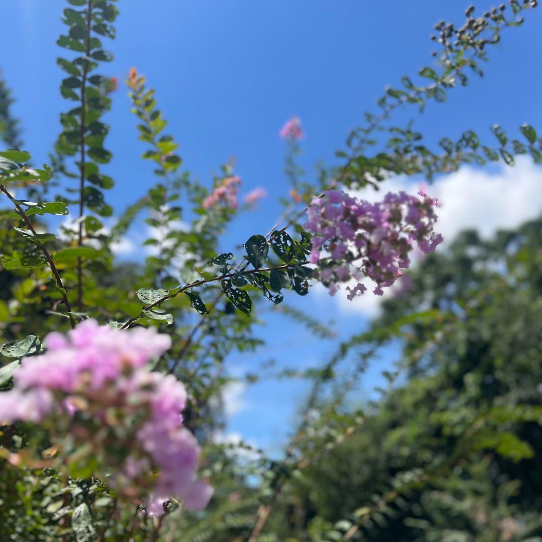 婉仪🧚🏻‍♀️