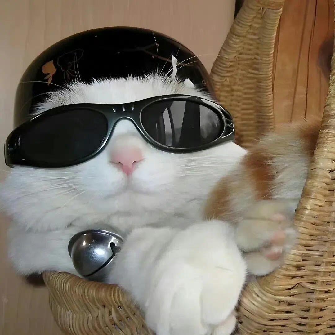 Rick（三角洲炼金）