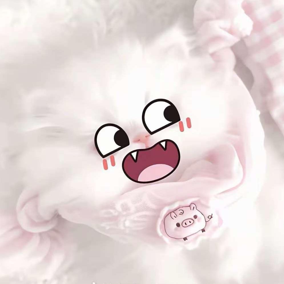 小鱼