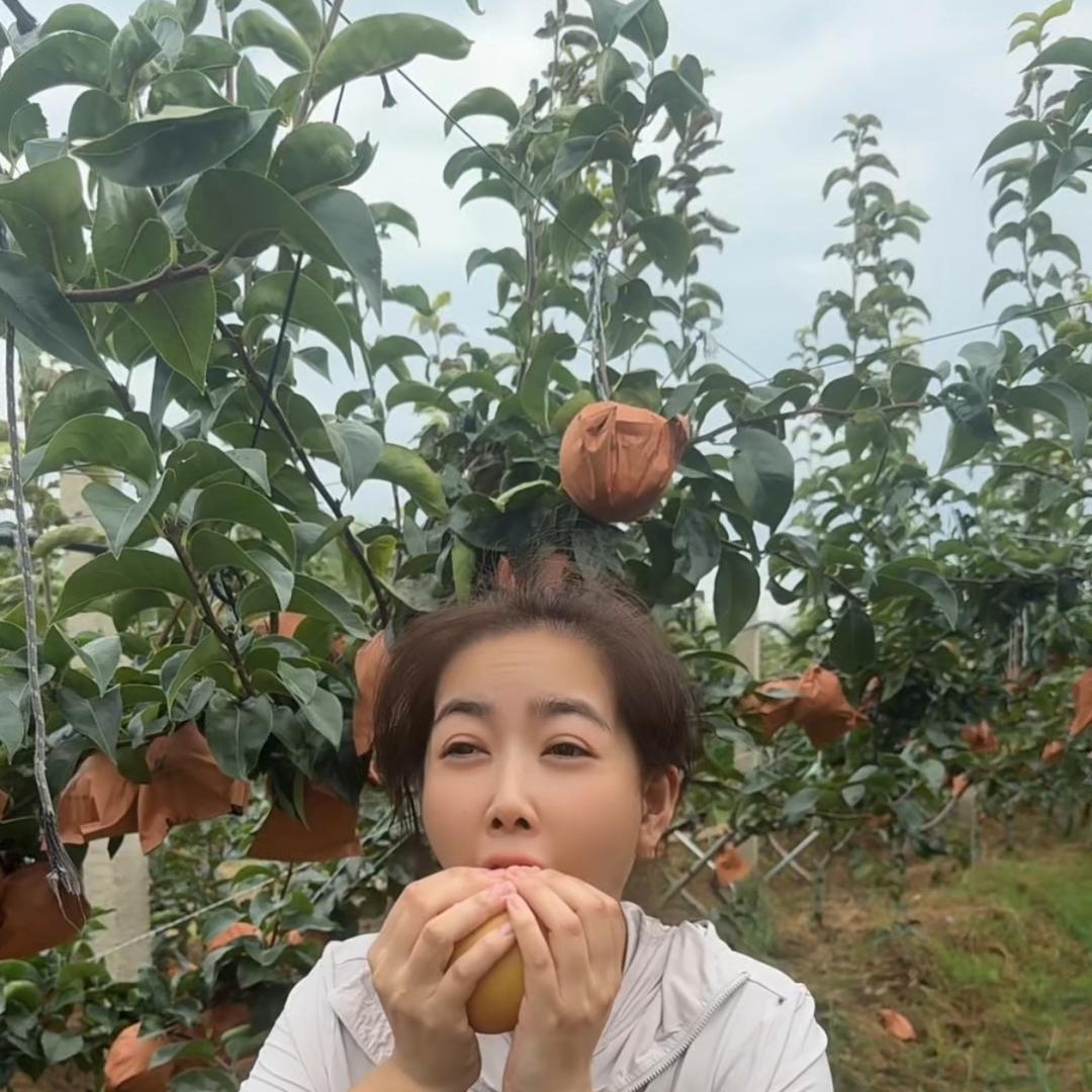 橙动鲜生