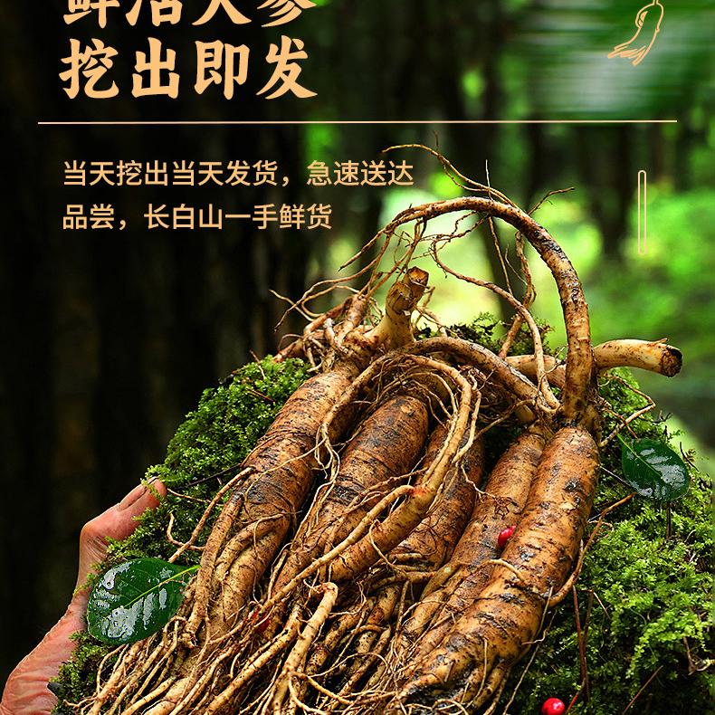 华新鲜人参