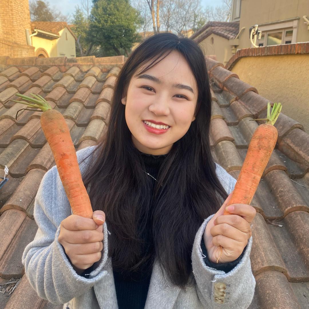 格格真不菜(种有机菜)