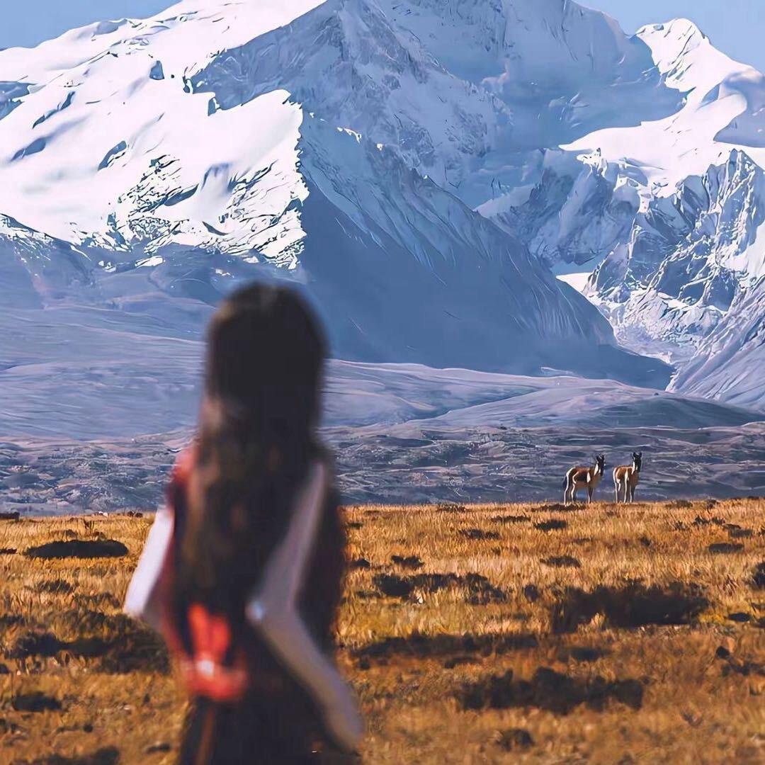 ㅤㅤㅤㅤㅤㅤㅤㅤㅤㅤㅤㅤㅤ·