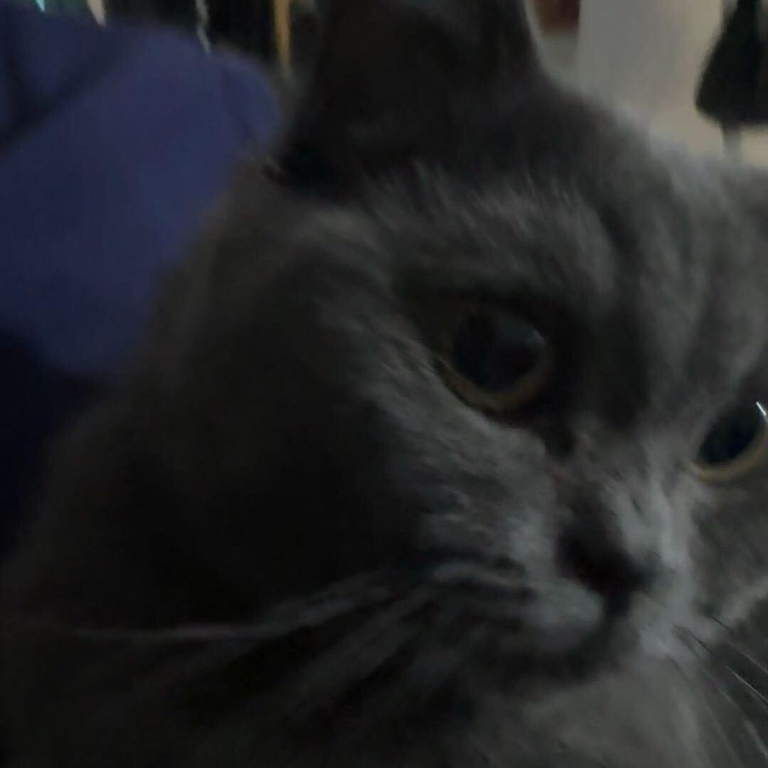 双层吉士榨汁喝