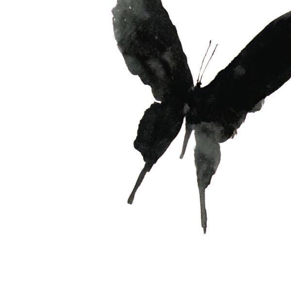 我这么帅你也要骂我