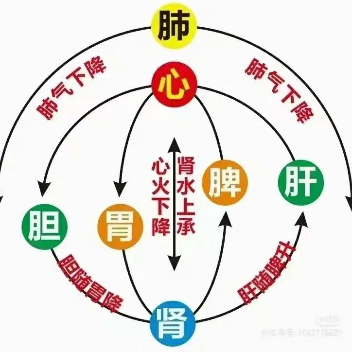 （截针道）张哥天津三十年