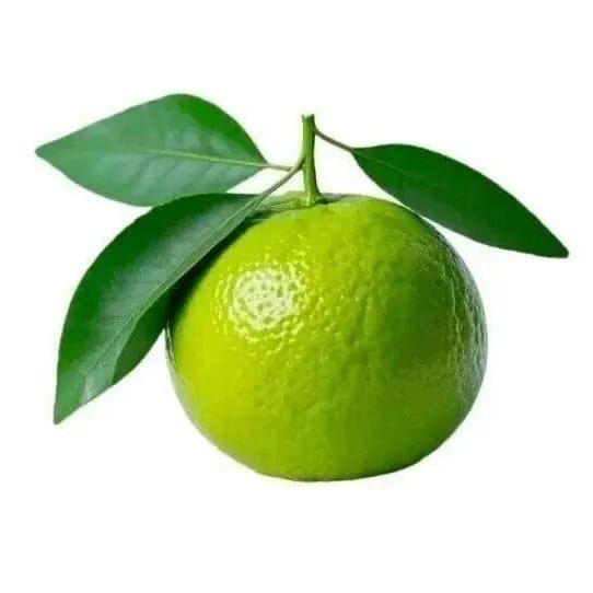 番茄炒蛋不加番茄