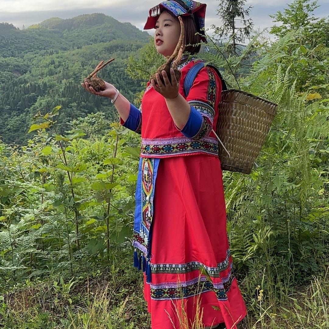 天麻公主