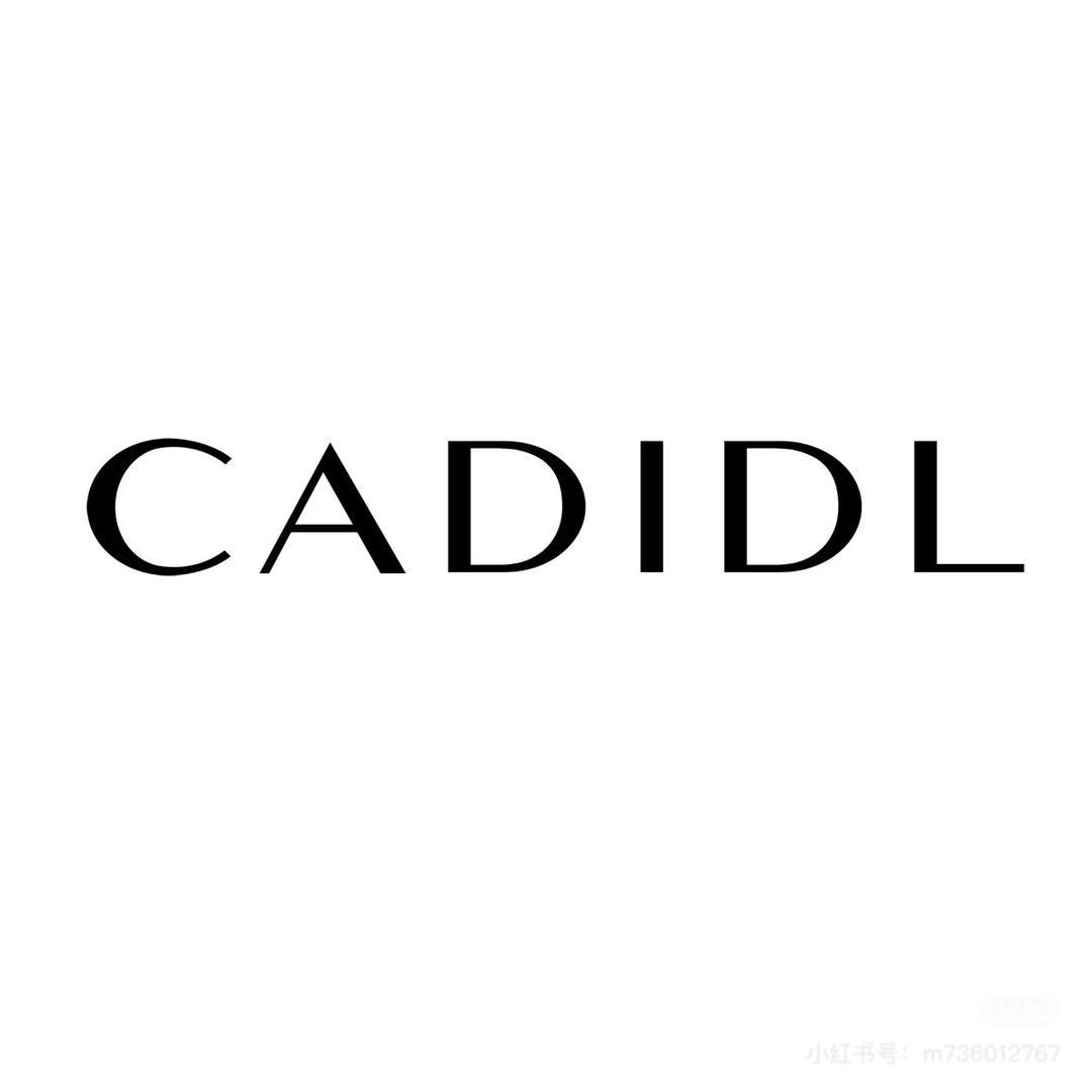 昆明百货大楼三楼卡迪黛尔CADIDL李杨