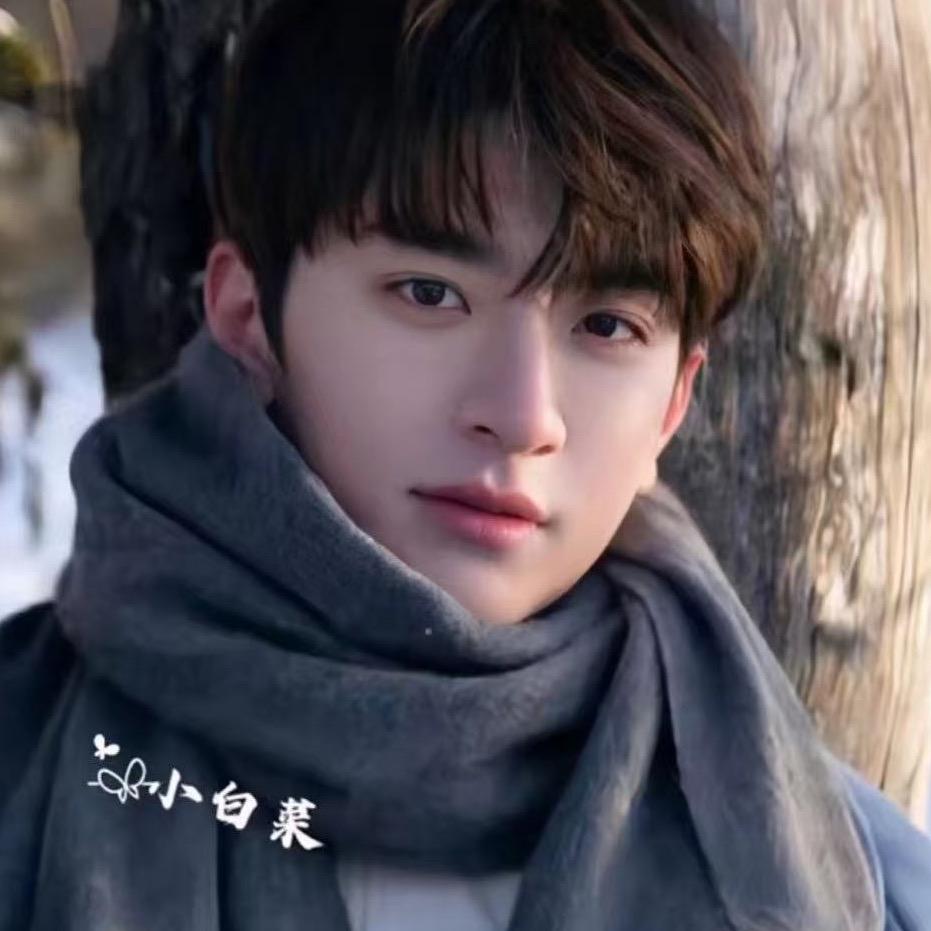 景沐/小白菜